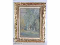 Anastas Dudulov-vopsele-peisaj-ulei-semnat-încadrat