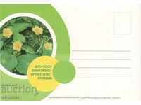 Postal card - 110 years Filing company - Plovdiv