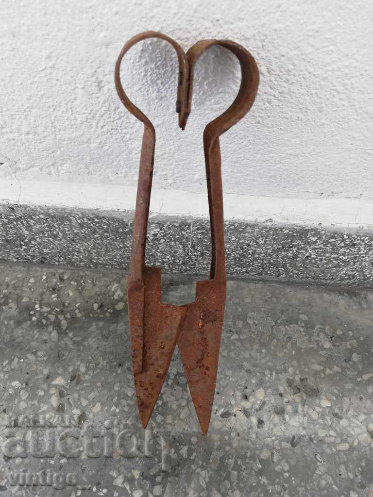 Old scissors for wool