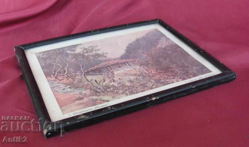 20s Old Print Picture T. OBER BAUER - 5