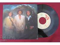 1979g. Plate BEE GEES