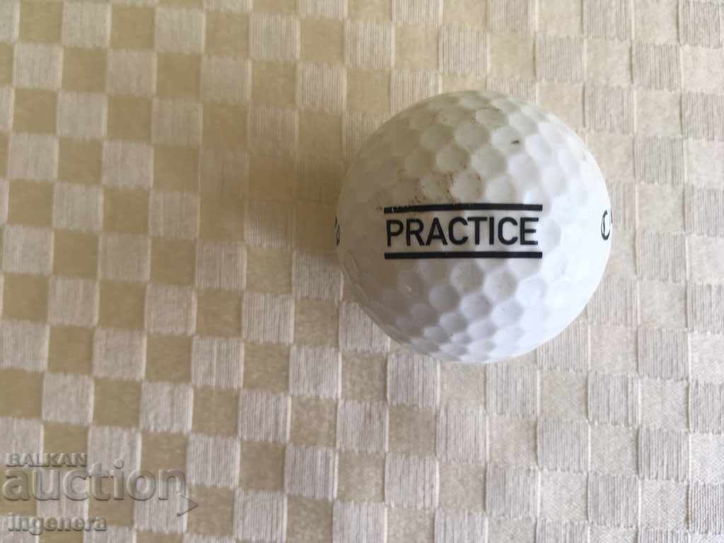 Auction GOLF BALL Auction GOLF BALL