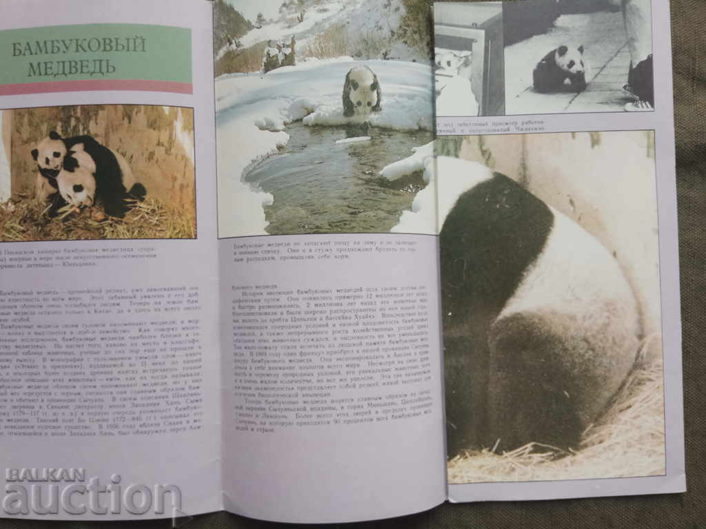 Oh Kita 88: advertising brochure 1986 with price 5.00 BGN | € 2.56