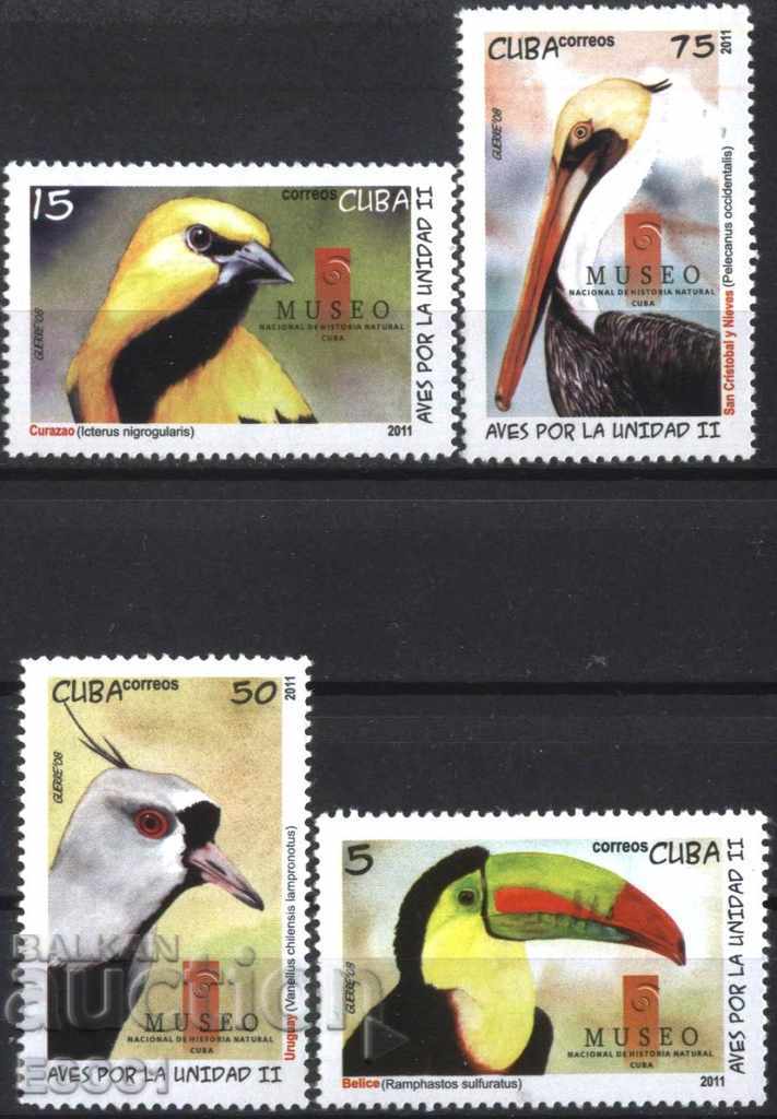 Pure Birds Fauna Birds 2011 Cuba