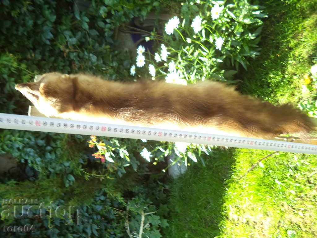 Delivery of Mink - WHAT