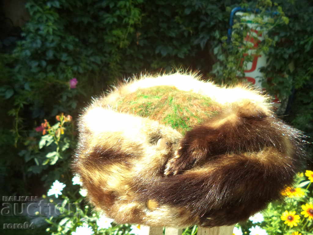 Аукцион НОРКА - КАЛПАК Аукцион НОРКА - КАЛПАК