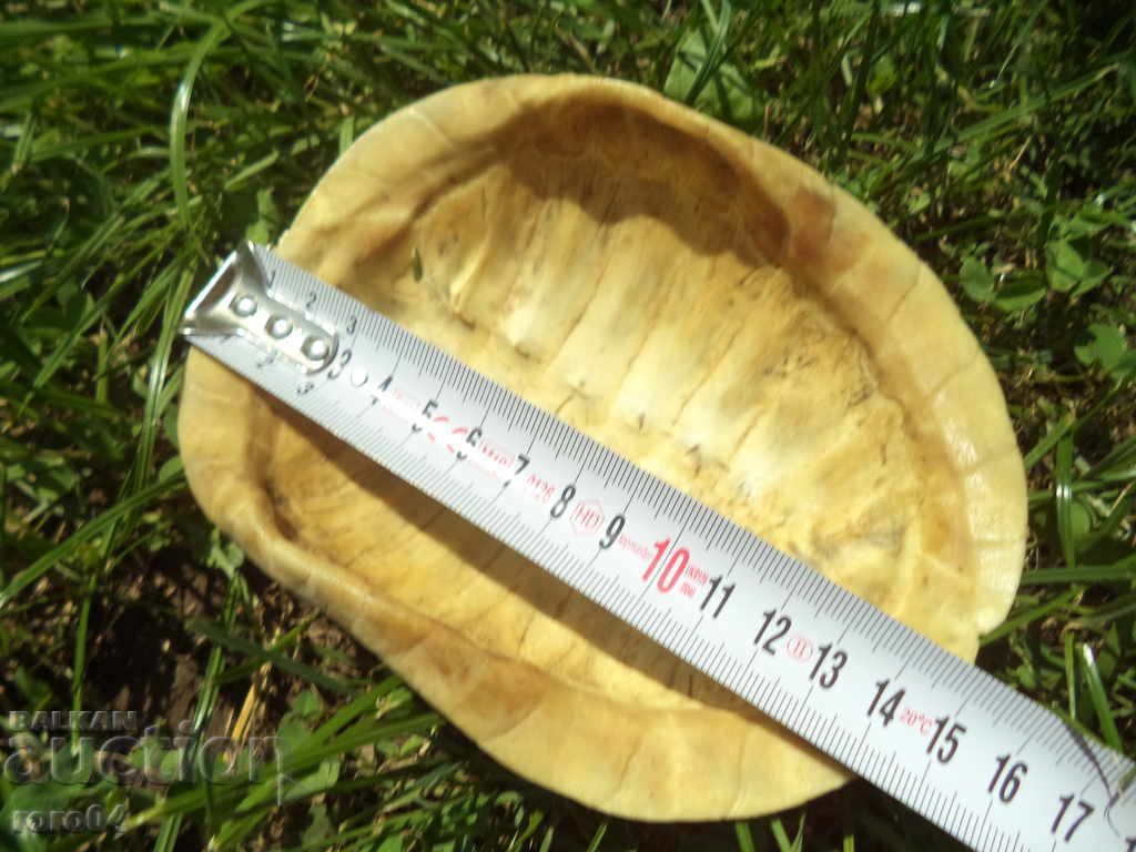 TURTLE - CUTIE - AUTENTICĂ - 6 TURTLE - CUTIE - AUTENTICĂ - 6