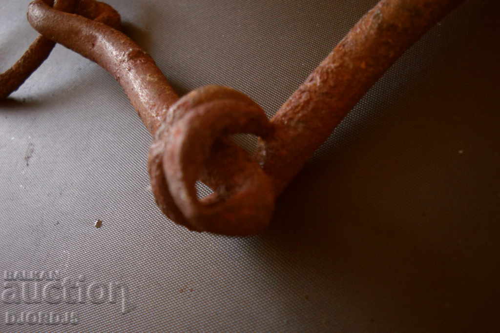 Auction Old bridle Auction Old bridle