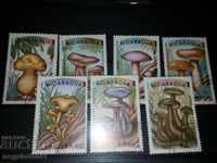 Nicaragua mushrooms, print series