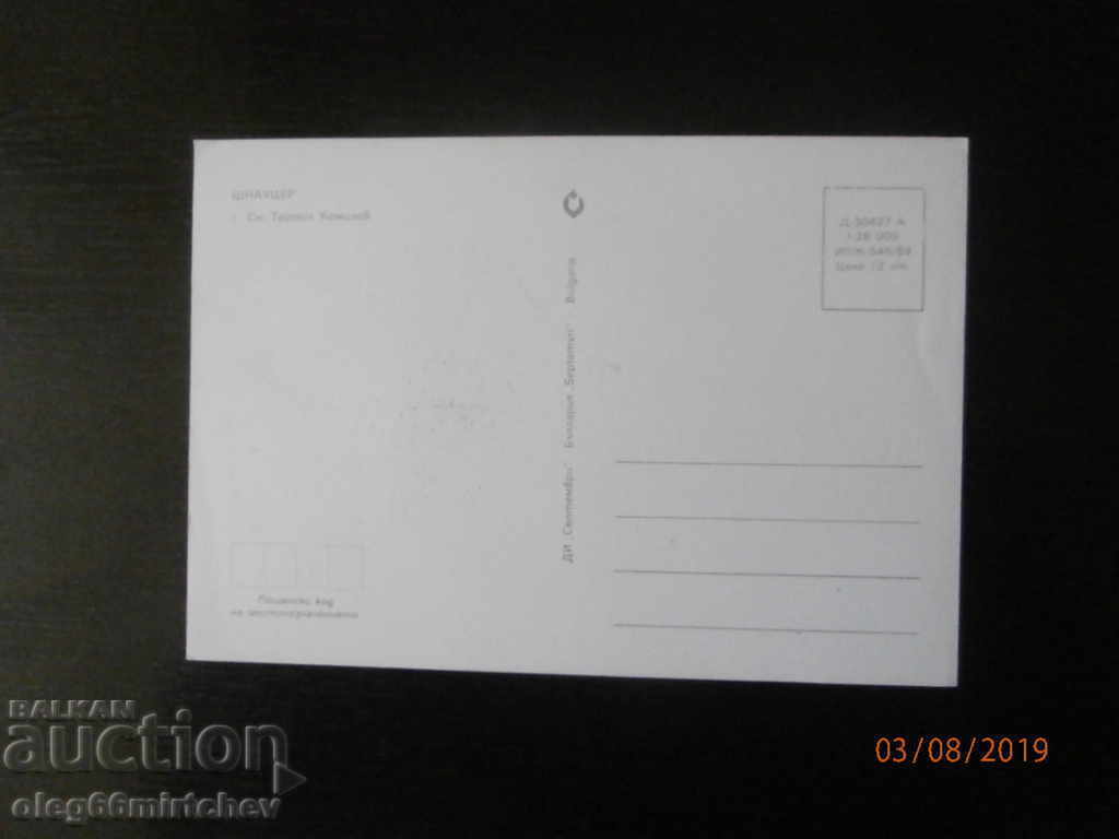 Bulgaria - Postcard - Dogs - SCHNAUZER with price 0.50 BGN | € 0.26 Bulgaria - Postcard - Dogs - SCHNAUZER with price 0.50 BGN | € 0.26