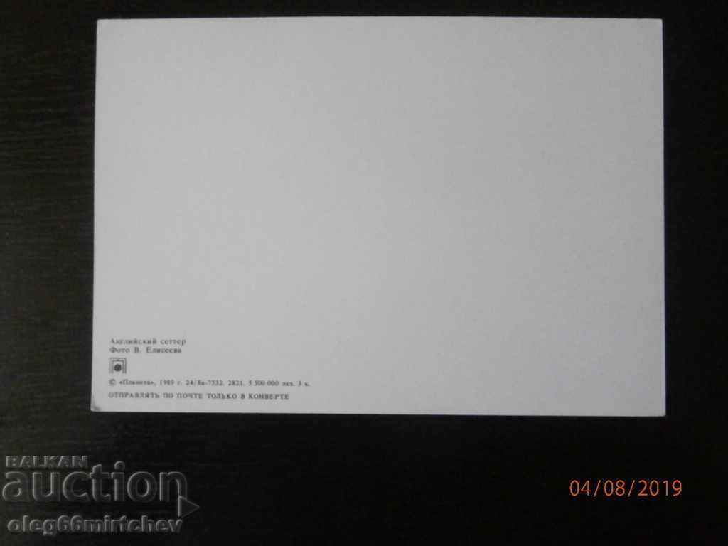 USSR Dogs - English Setter with price 0.50 BGN | € 0.26