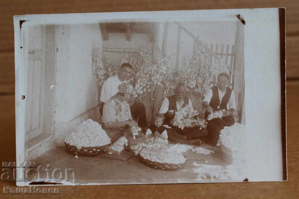 . COTTON CLEANING WASH BASKET OLD PHOTOGRAPHY with price 15.00 BGN | € 7.67 . COTTON CLEANING WASH BASKET OLD PHOTOGRAPHY with price 15.00 BGN | € 7.67