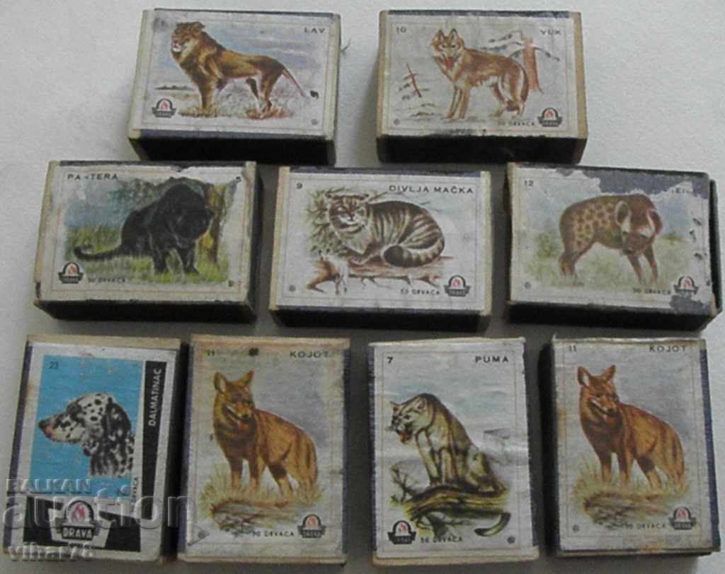 Auction  LOT OF 9 NUMBERS - OLD KIBRITES