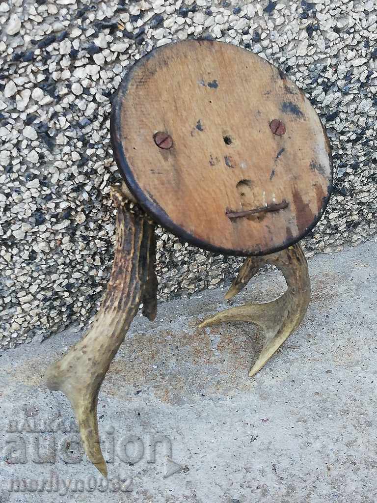 Auction  Hunting trophy skull with horns of a party