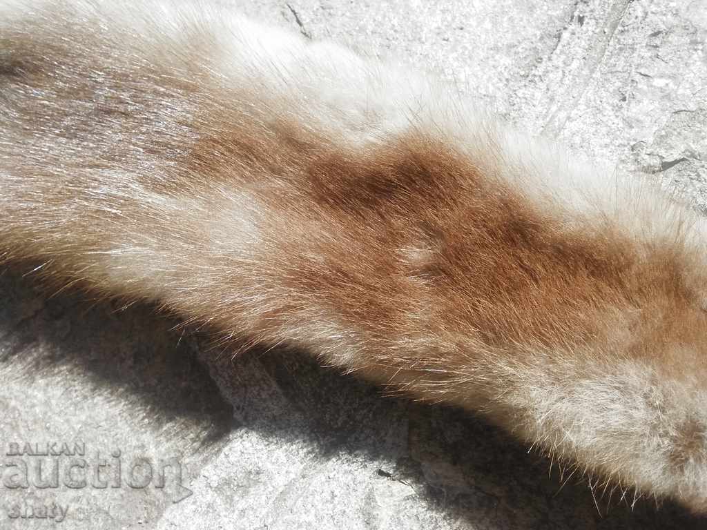 Squirrel skin. Trophy from a small predator with price 45.00 BGN | € 23.01 Squirrel skin. Trophy from a small predator with price 45.00 BGN | € 23.01