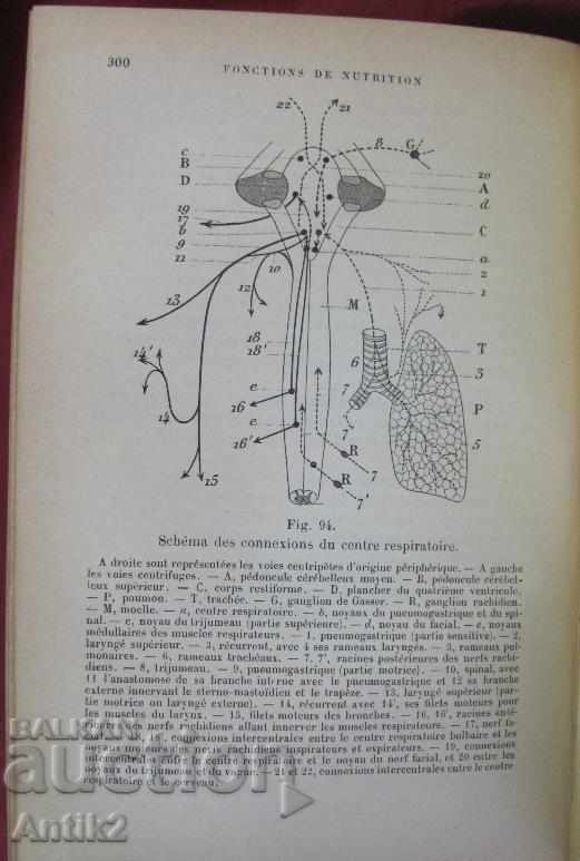 1901 E.HEDON PHYSIOLOGIE Medical Book - 7 1901 E.HEDON PHYSIOLOGIE Medical Book - 7