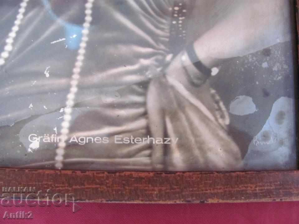 Аукцион 20-те Реал Фото GRAFIN AGNES ESTERHARY Рядка Аукцион 20-те Реал Фото GRAFIN AGNES ESTERHARY Рядка