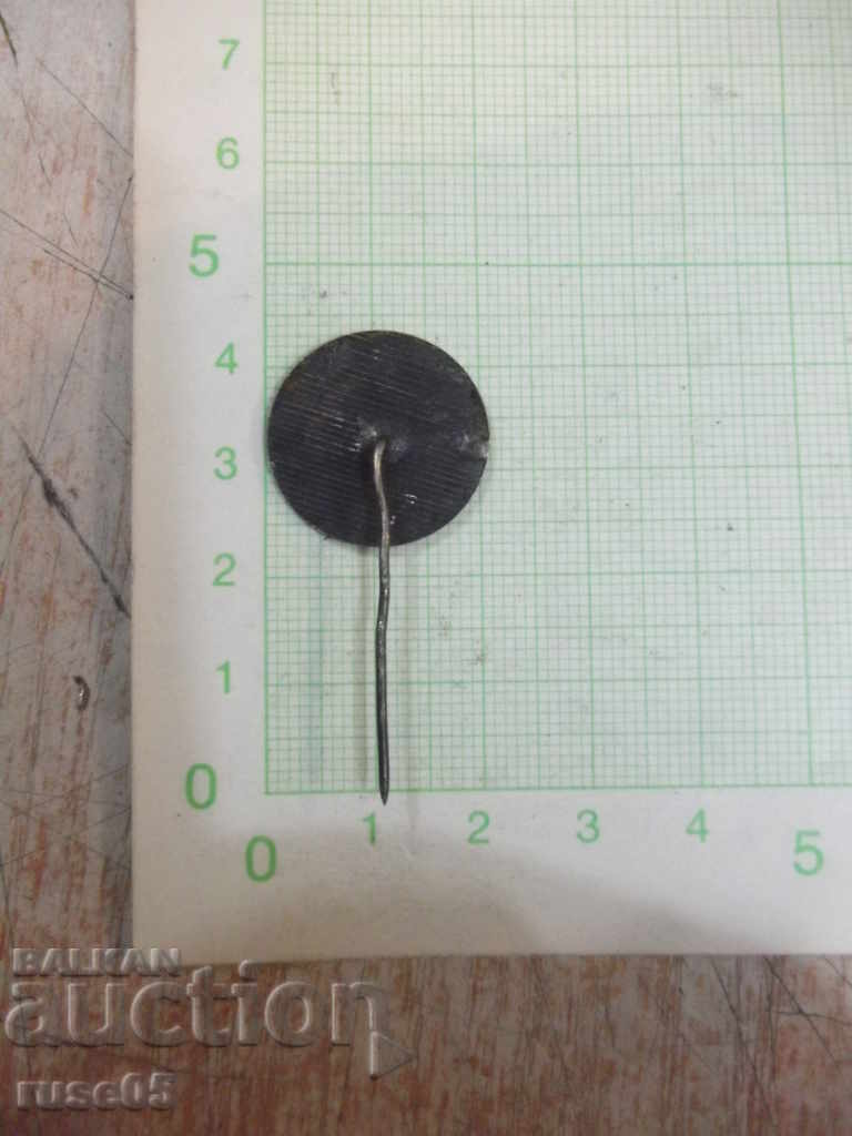 Ethnographic Mark Museum * Ether * badge with price 1.00 BGN | € 0.51 Ethnographic Mark Museum * Ether * badge with price 1.00 BGN | € 0.51