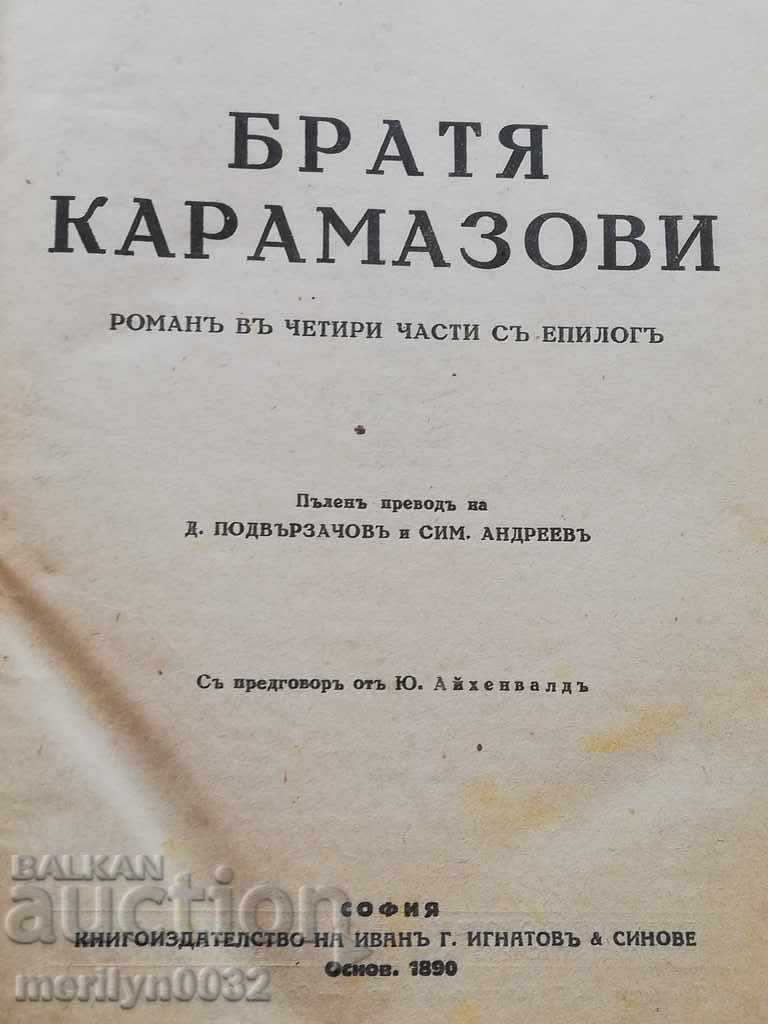 Book Karamazov brothers F. Dostoevsky novel