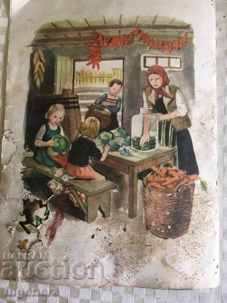 "DROZHINKA" WRITING - 1954 - 5