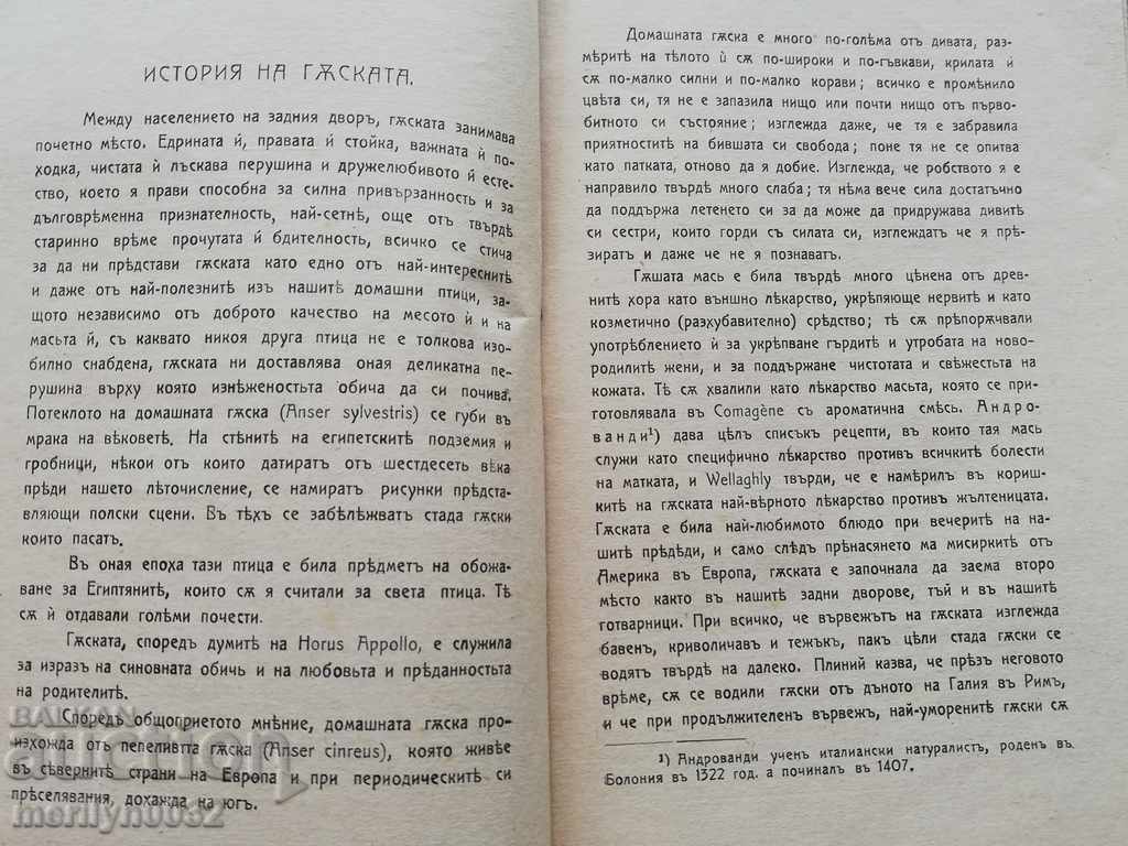 Delivery of The Goose Book Delivery of The Goose Book