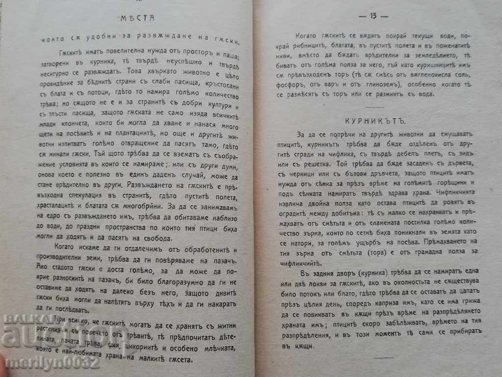 The Goose Book - 5 The Goose Book - 5