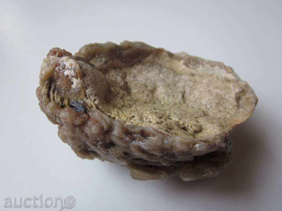 Delivery of FOSIL-13 Delivery of FOSIL-13