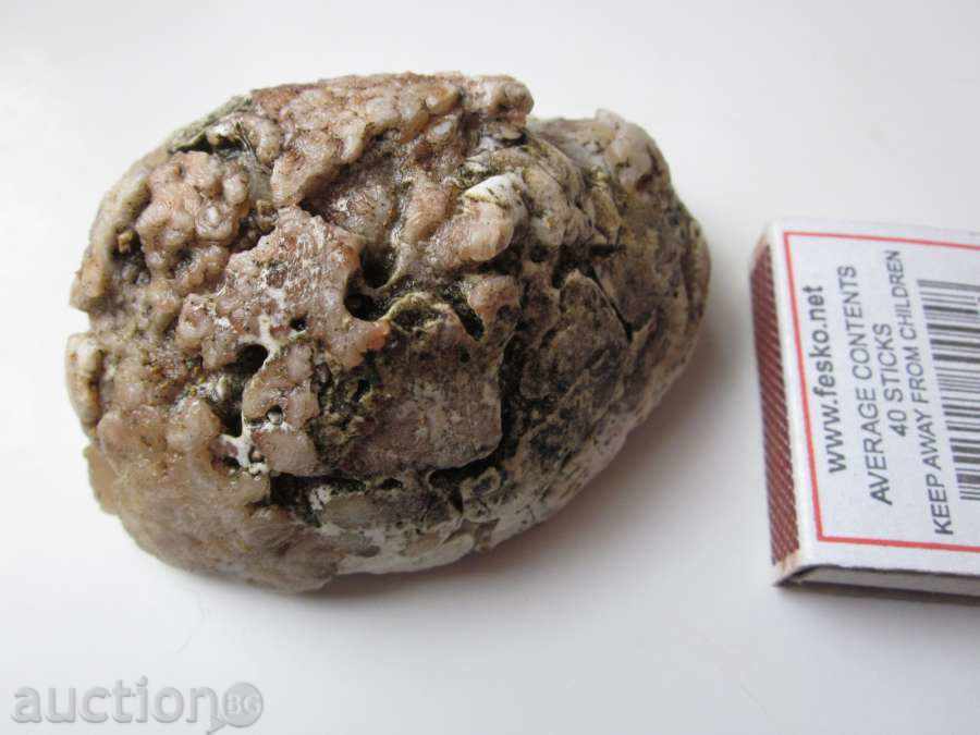 Доставка на ФОСИЛ -2 Доставка на ФОСИЛ -2