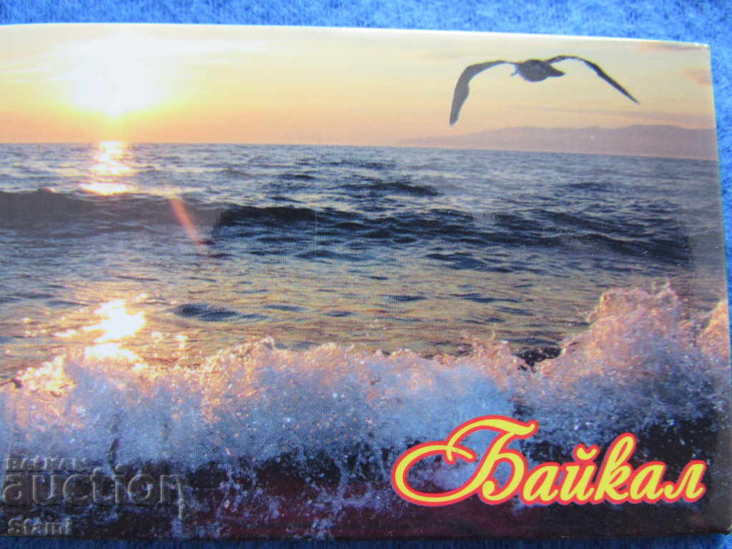 Authentic magnet from Lake Baikal, Russia-series-10