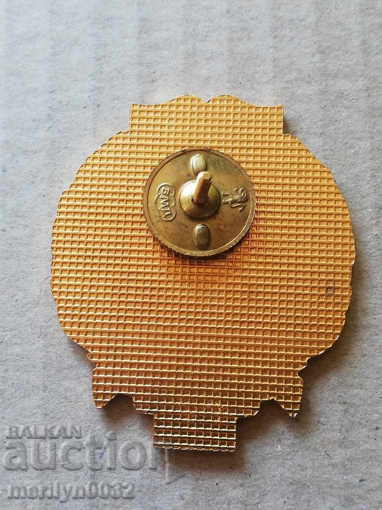 Auction Jubilee badge badge 80 years construction troops Auction Jubilee badge badge 80 years construction troops