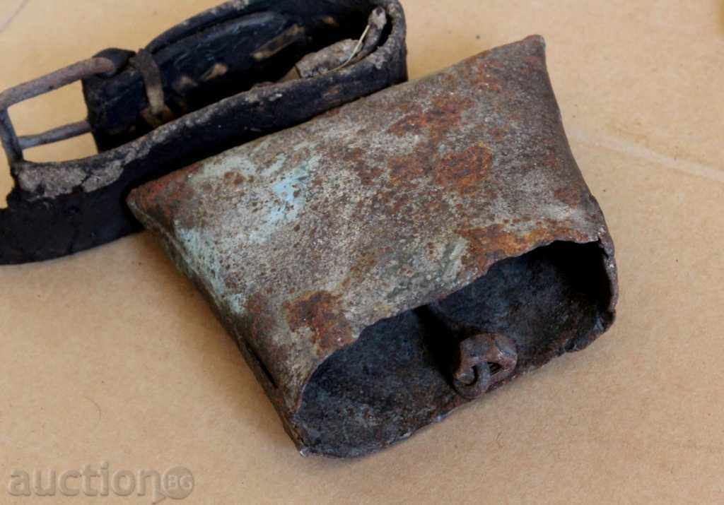 Delivery of . LARGE STAR AUTHENTIC CHROMA CHAN ZVANETZ KAISH KAMBANA