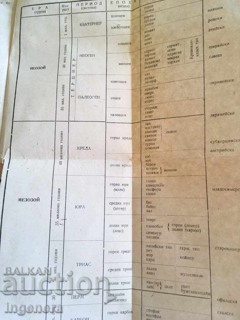 Auction MANUAL Auction MANUAL