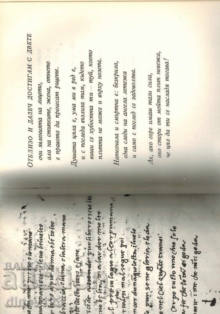 Auction LYRICS - Michelangelo Boonaroti Auction LYRICS - Michelangelo Boonaroti