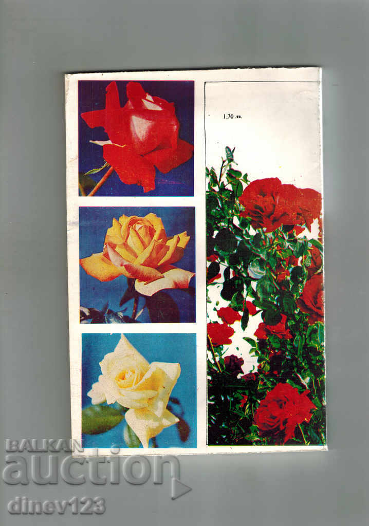 ROSEY - V. STAYKOV cu preț 8.00 BGN | € 4.09 ROSEY - V. STAYKOV cu preț 8.00 BGN | € 4.09