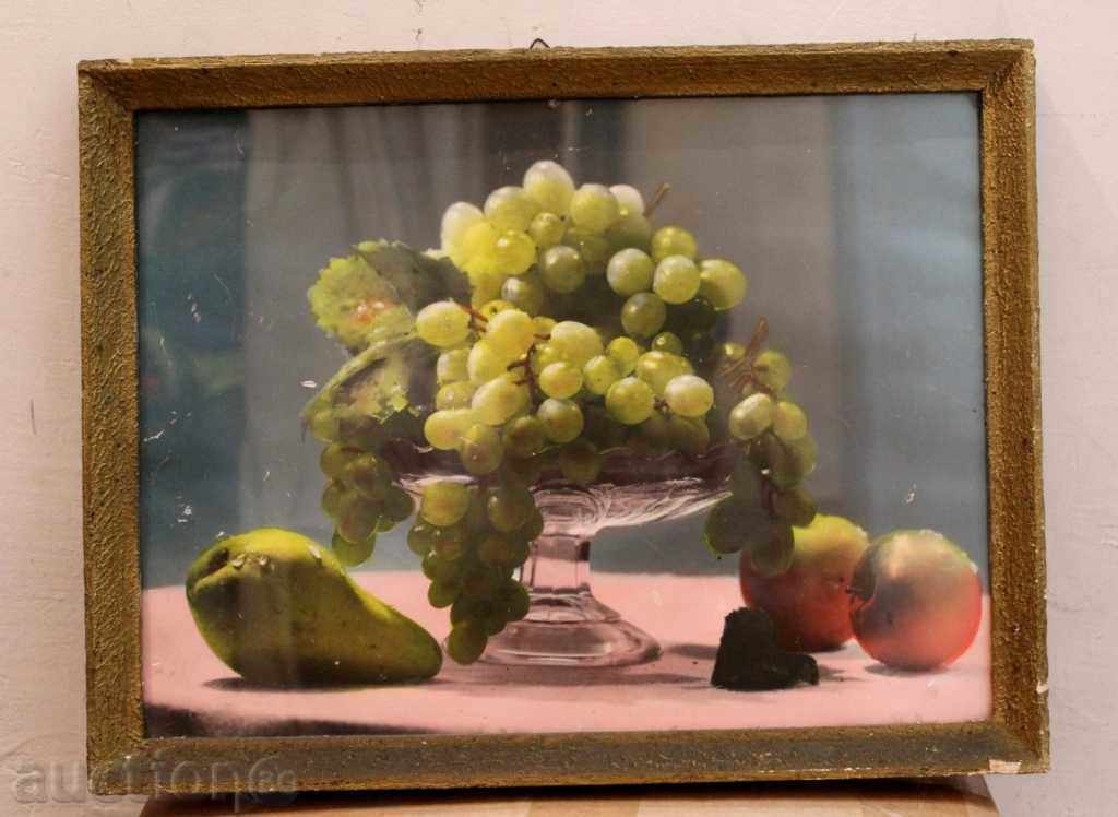 SOCIALIST PHOTOGRAPHY FRAME GLASS STILL LIFE SOC SOCIALIST PHOTOGRAPHY FRAME GLASS STILL LIFE SOC