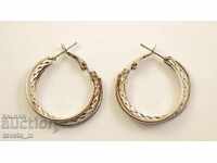 Σκουλαρίκια