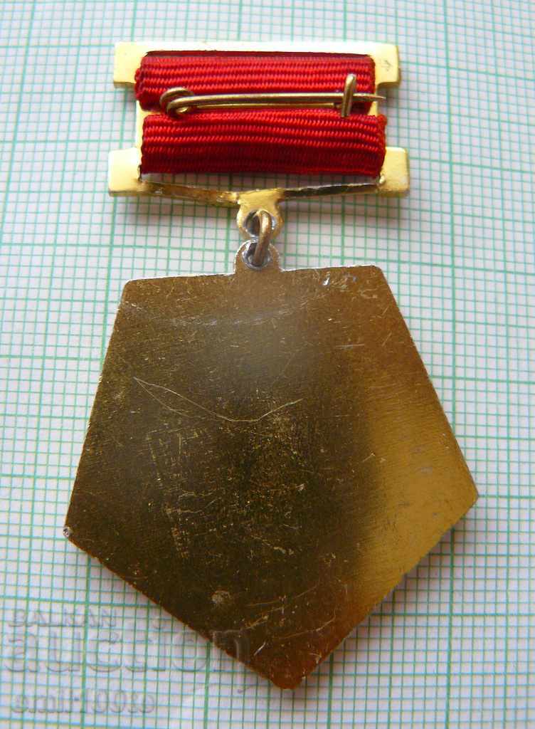 Badge - 10 years division 22450 Sofia - 5 Badge - 10 years division 22450 Sofia - 5