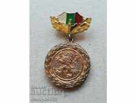 War veteran badge medal badge