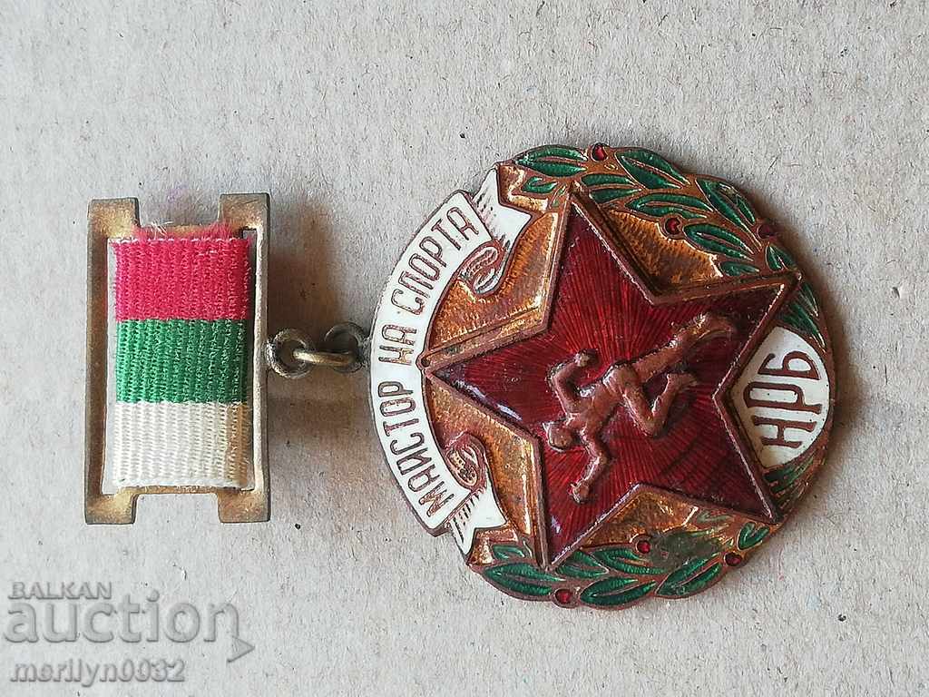 Breastplate Master of Sports Medal Email - 6 Breastplate Master of Sports Medal Email - 6