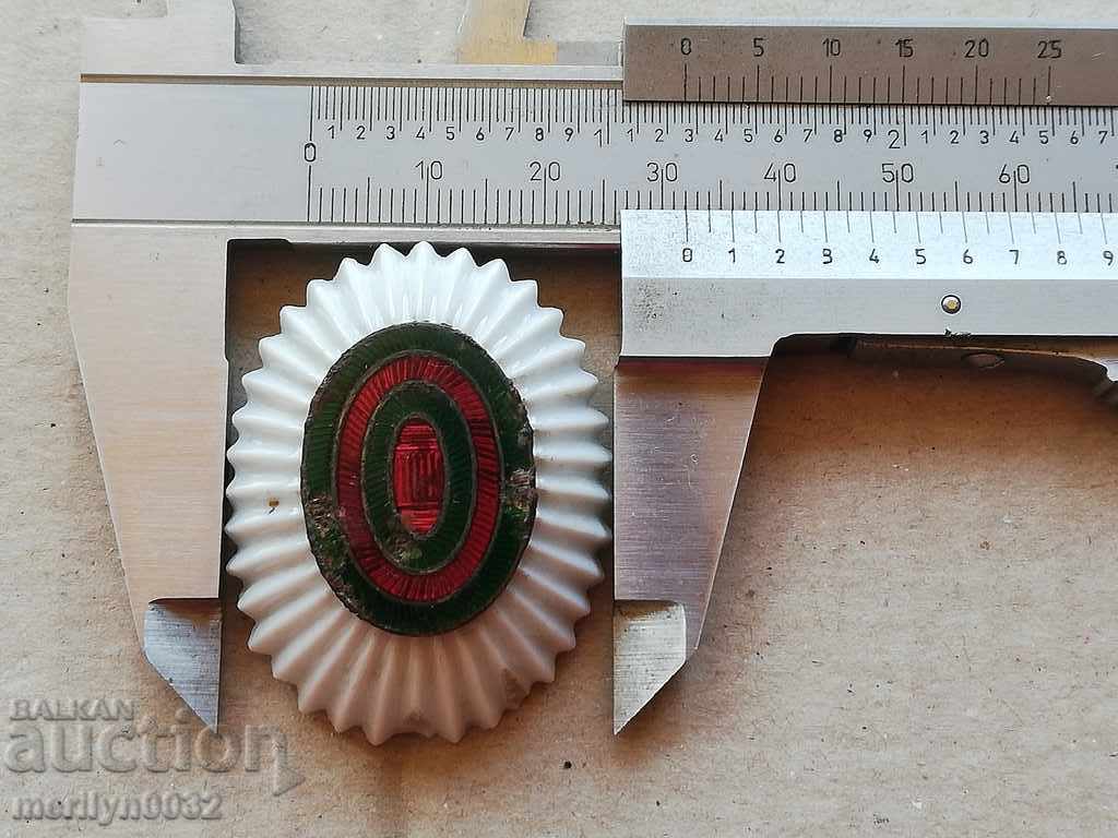 Delivery of Cockroach from the officer's uniform uniform Kingdom Kingdom Delivery of Cockroach from the officer's uniform uniform Kingdom Kingdom