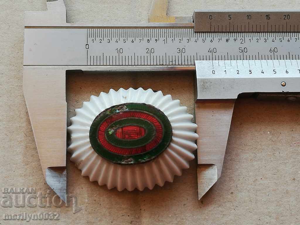 Cockroach from the officer's uniform uniform Kingdom Kingdom - 5 Cockroach from the officer's uniform uniform Kingdom Kingdom - 5