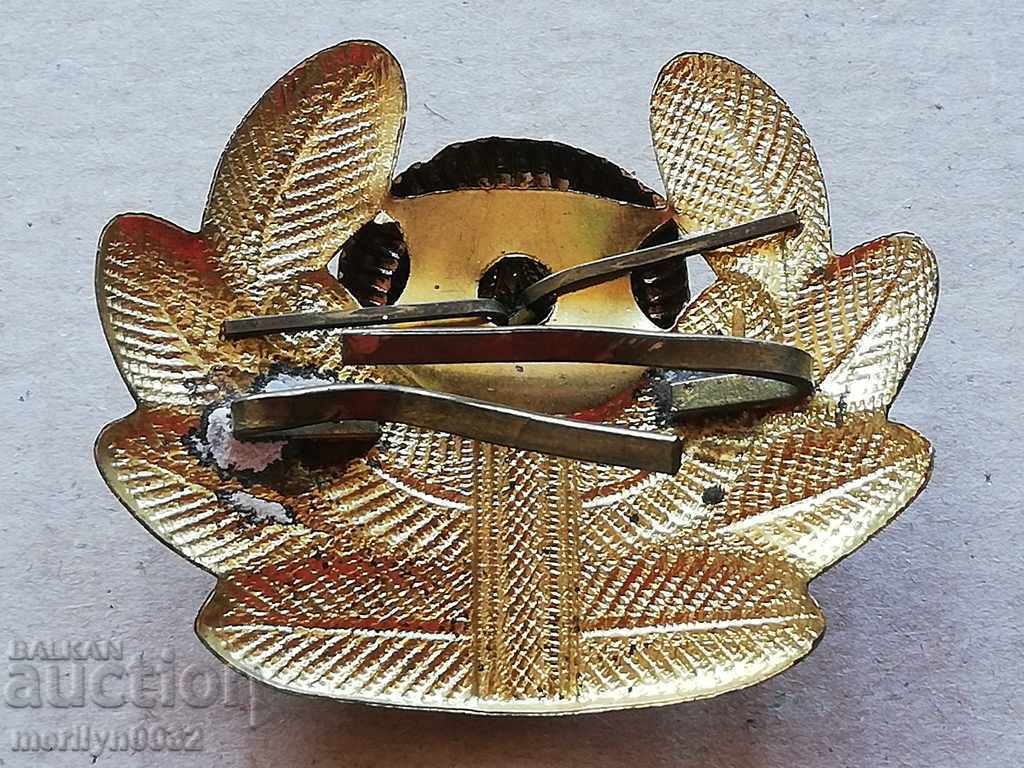 Enamelled Air Force Officer's Badge Enamel Badge with price 42.00 BGN | € 21.47 Enamelled Air Force Officer's Badge Enamel Badge with price 42.00 BGN | € 21.47