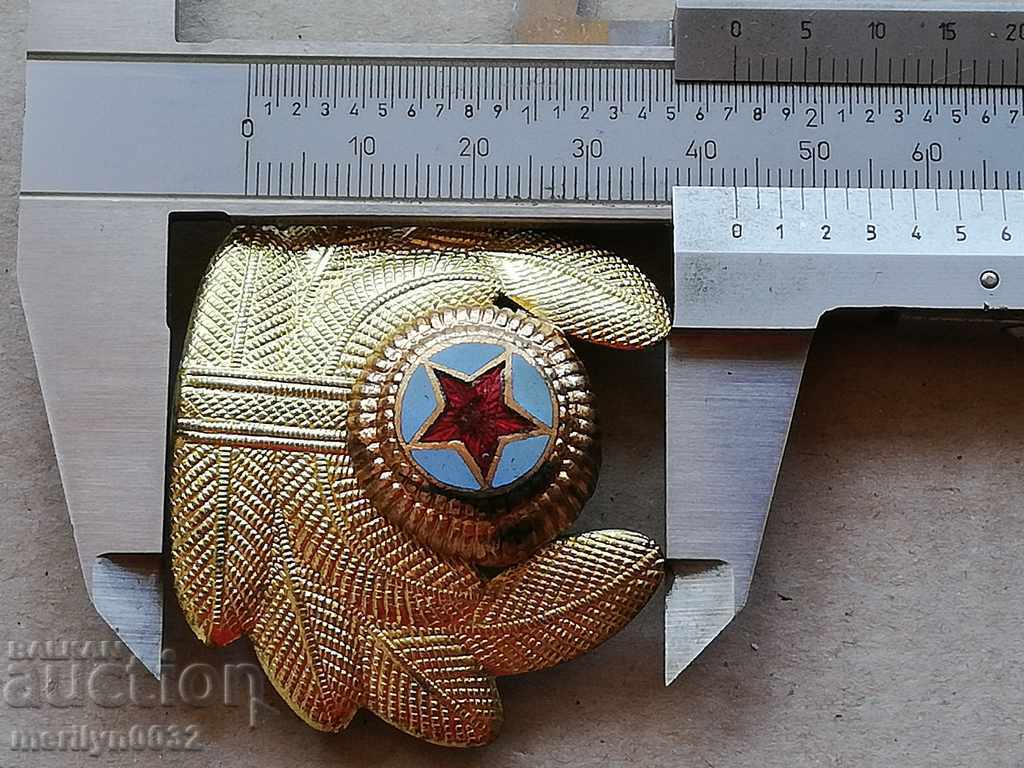 Delivery of Enamelled Air Force Officer's Badge Enamel Badge Delivery of Enamelled Air Force Officer's Badge Enamel Badge