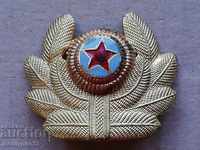 Enamelled Air Force Officer's Badge Enamel Badge