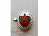 Cocarda de ofițer emailată, semn email, insignă