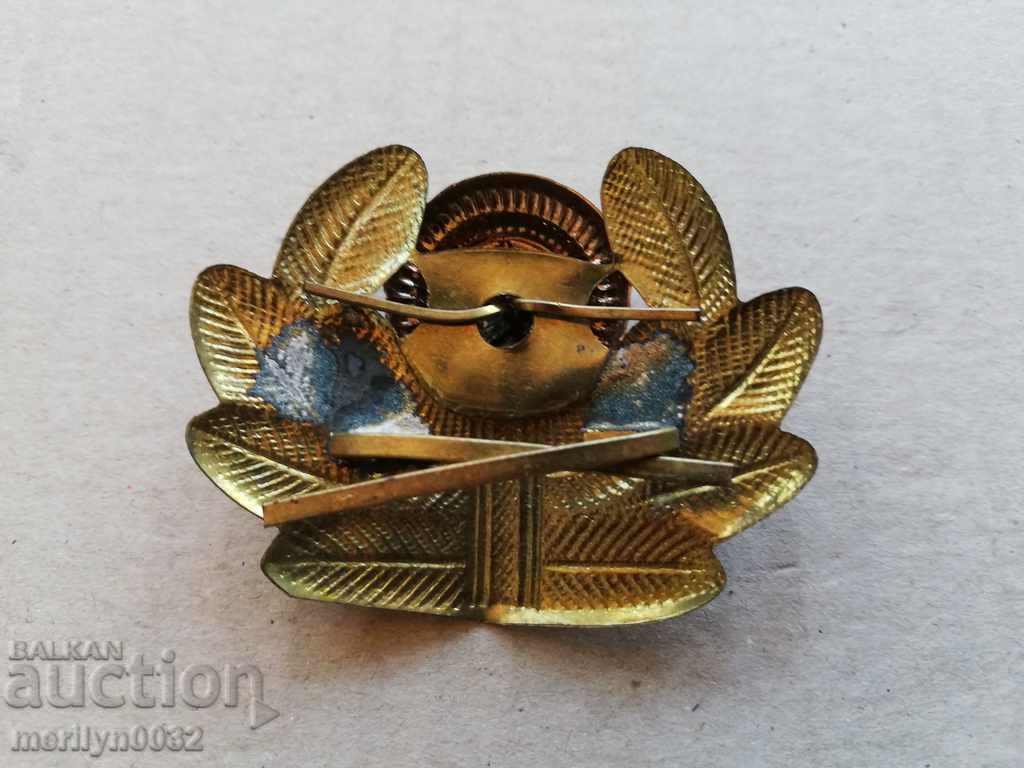 Enamelled Air Force Officer's Badge Enamel Badge with price 42.00 BGN | € 21.47