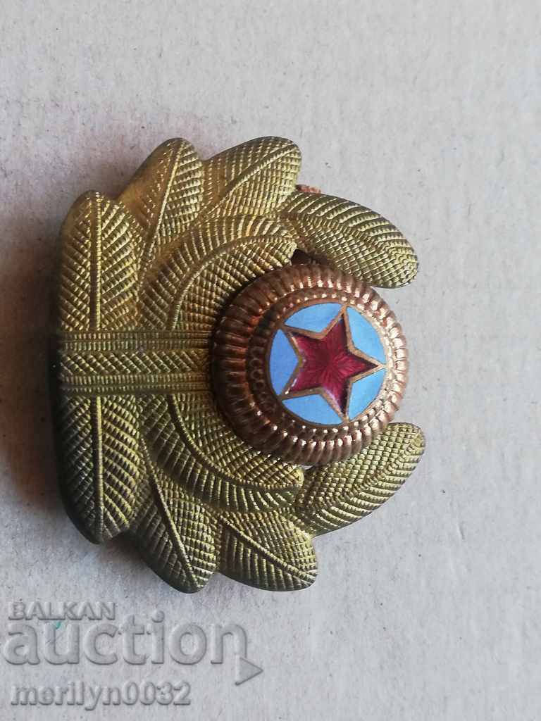 Delivery of Enamelled Air Force Officer's Badge Enamel Badge Delivery of Enamelled Air Force Officer's Badge Enamel Badge