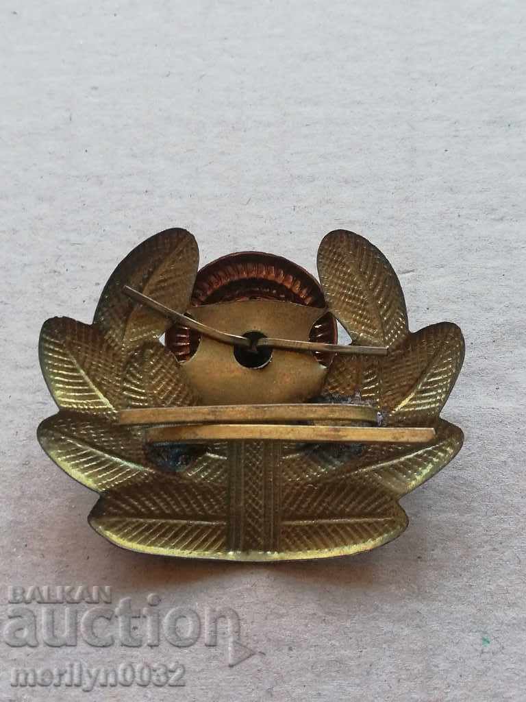 Enamelled Air Force Officer's Badge Enamel Badge - 5 Enamelled Air Force Officer's Badge Enamel Badge - 5