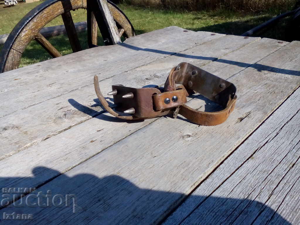 Παλιές γάτες με τιμή 25.00 BGN | € 12.78 Παλιές γάτες με τιμή 25.00 BGN | € 12.78