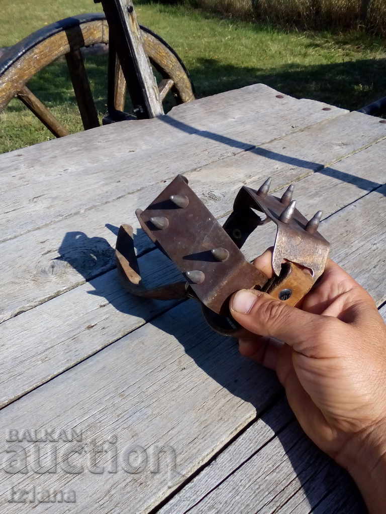 Δημοπρασία Παλιές γάτες Δημοπρασία Παλιές γάτες